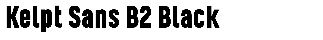 Kelpt Sans B2 Black